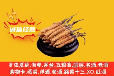 日照回收冬虫夏草